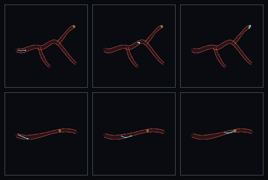 Lumen navigation rollout in branching anatomy